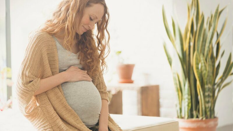 7 Amazing Facts about Pregnancy