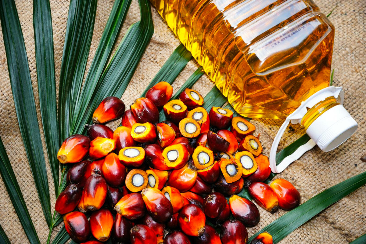 12 fascinating facts about palm oil