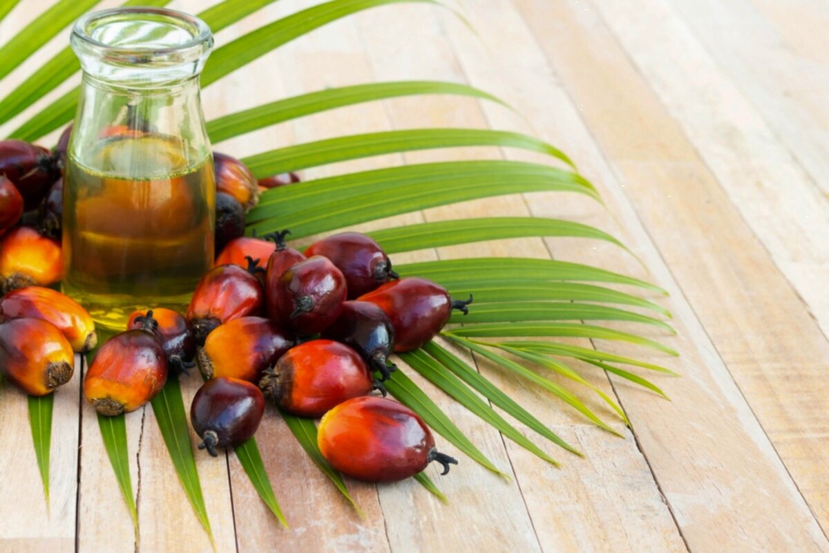 General palm oil facts