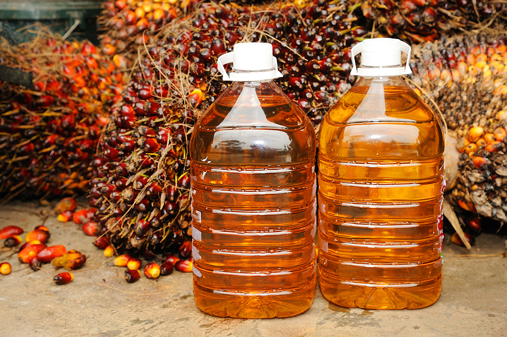 General palm oil facts