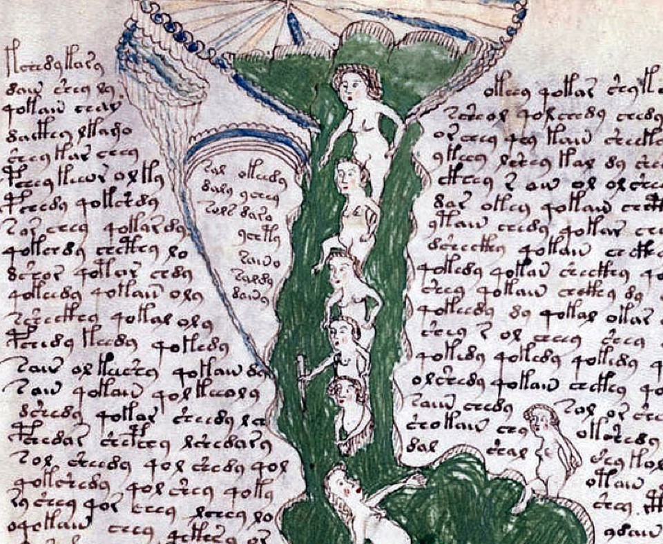   Voynich Manuscript