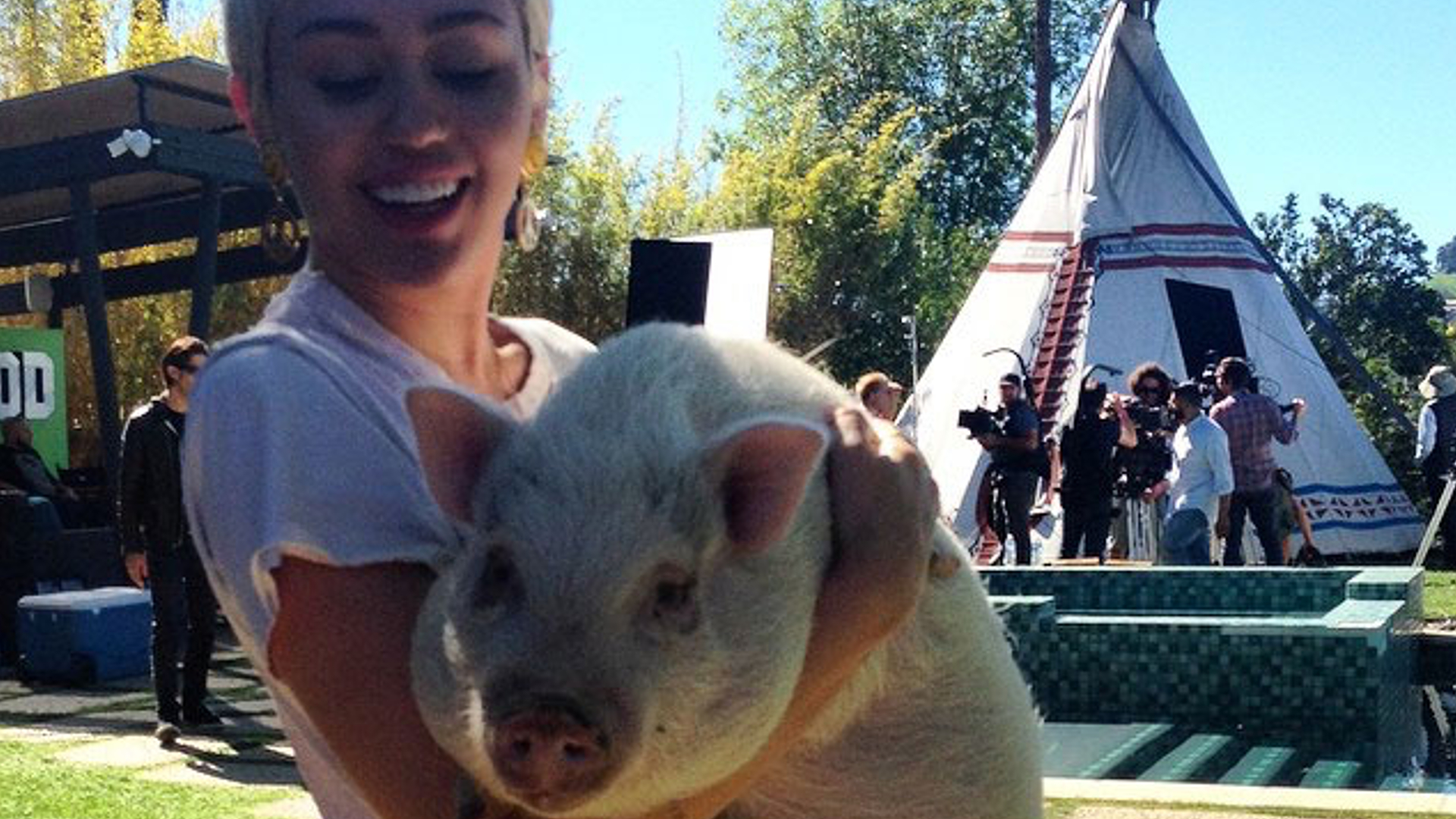 Miley Cyrus’s Pig
