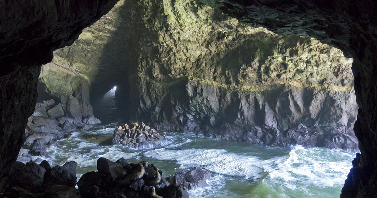 Sea Lion Caves – Oregon, United States