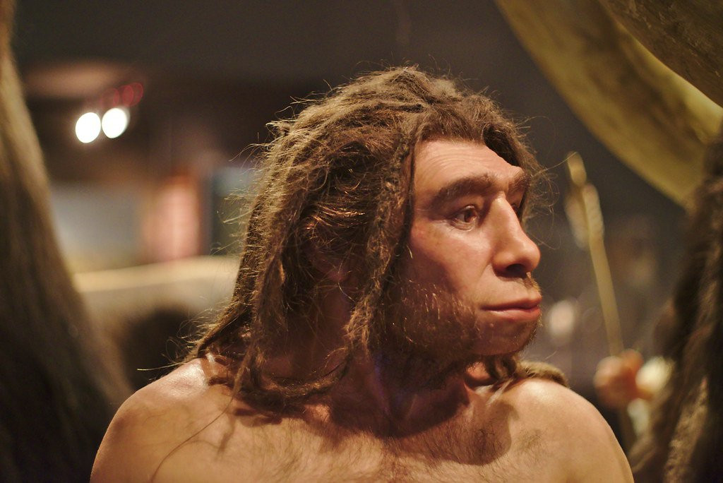  Neanderthal Glue