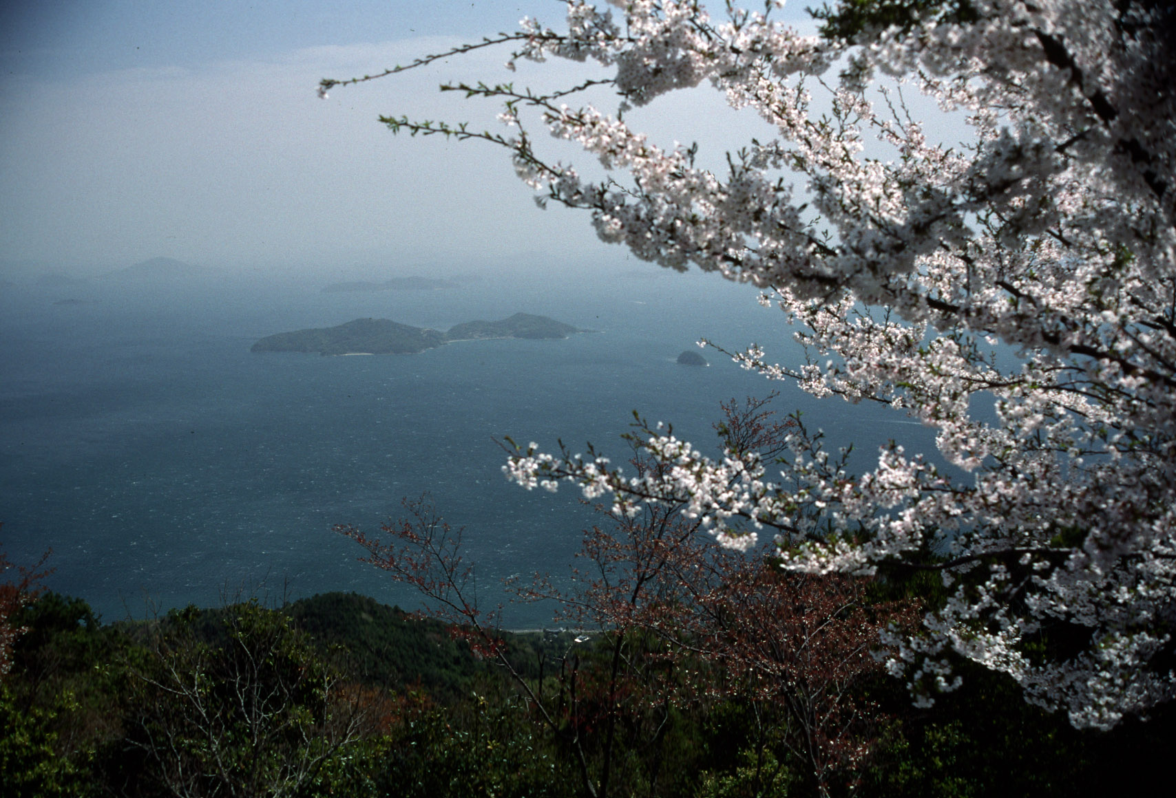 Sea of Japan (East Sea)