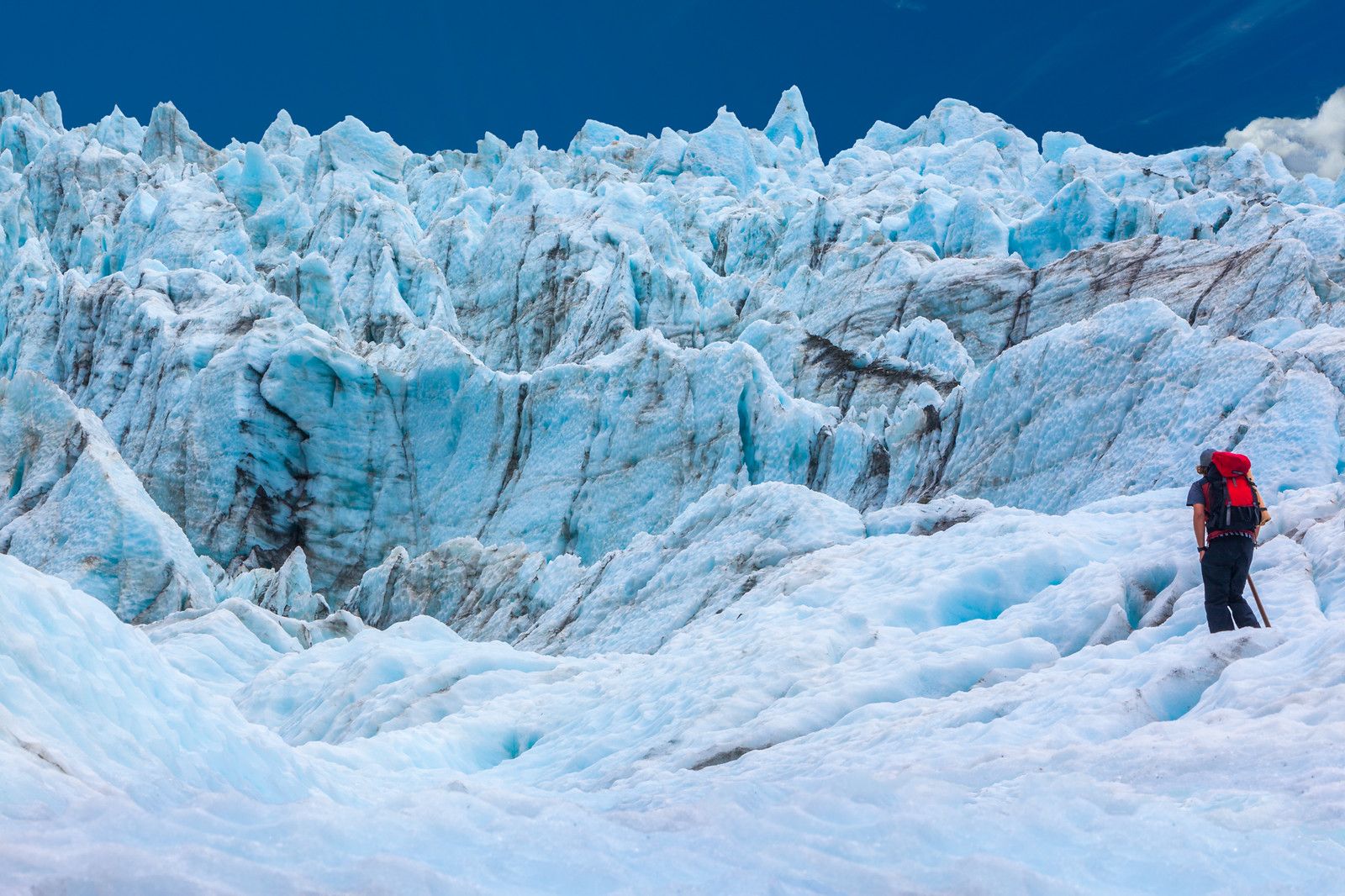 Fox Glacier – New Zealand