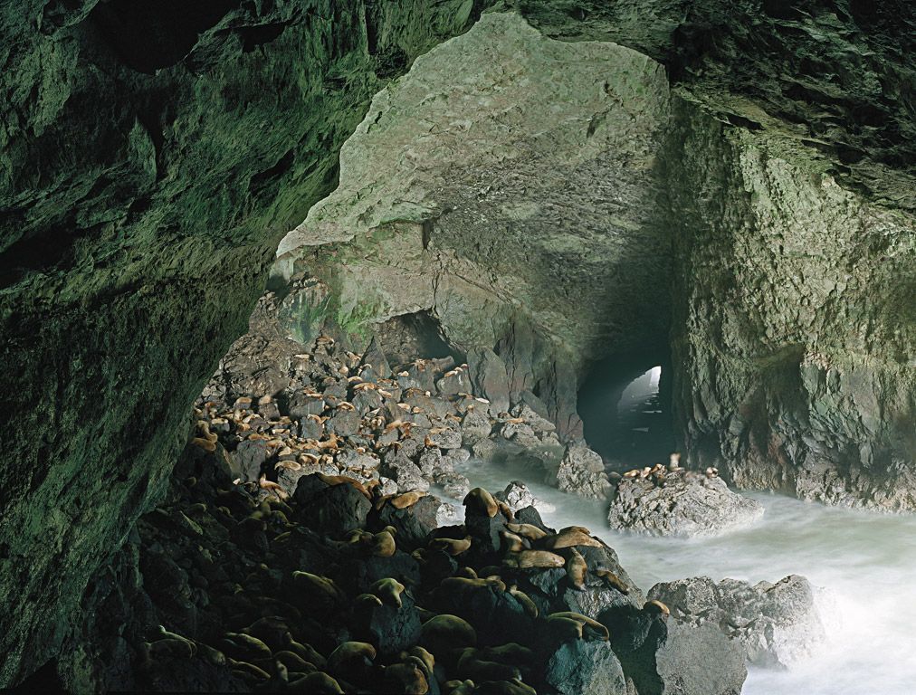 Sea Lion Caves – Oregon, United States