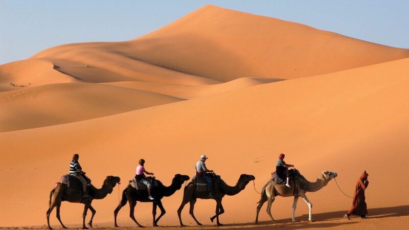 Top 7 Fun Facts About The Sahara Desert