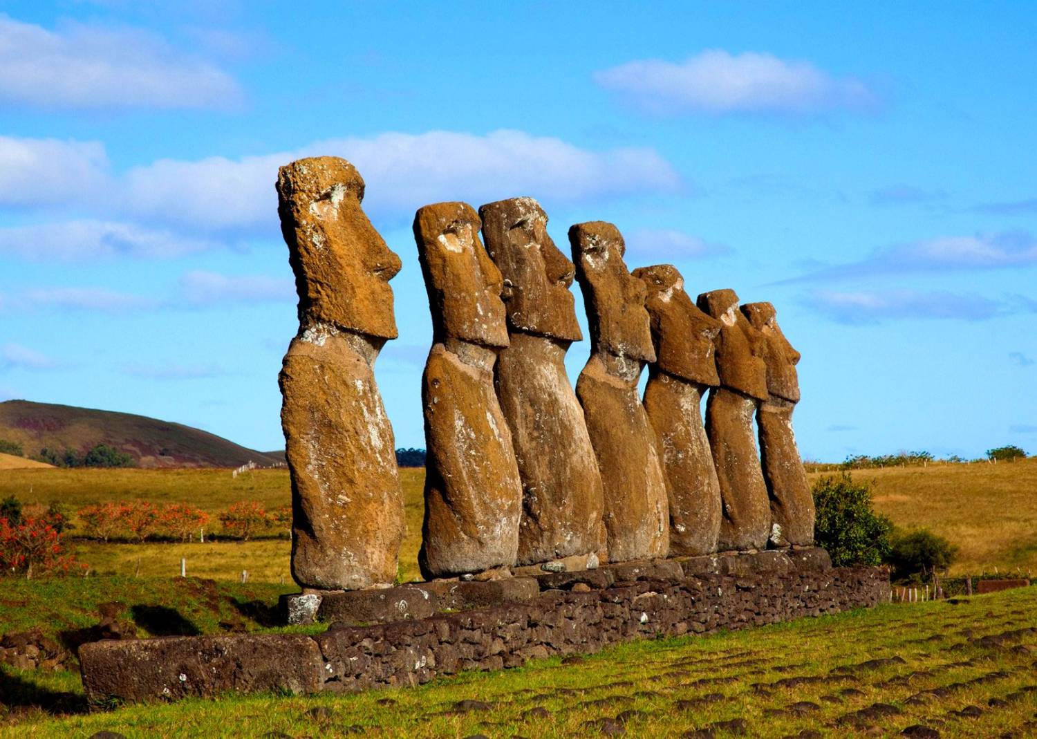 Moai, Easter Island