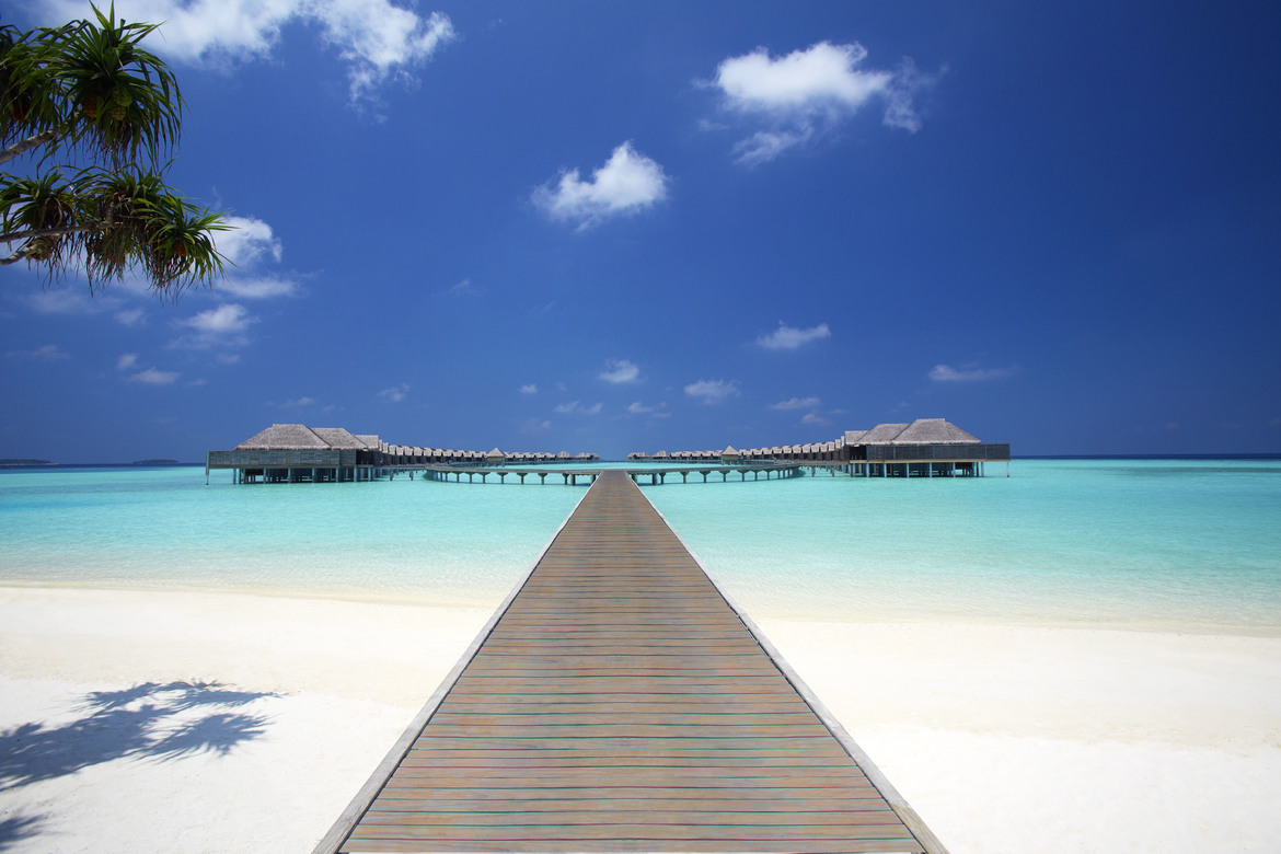 The Maldives