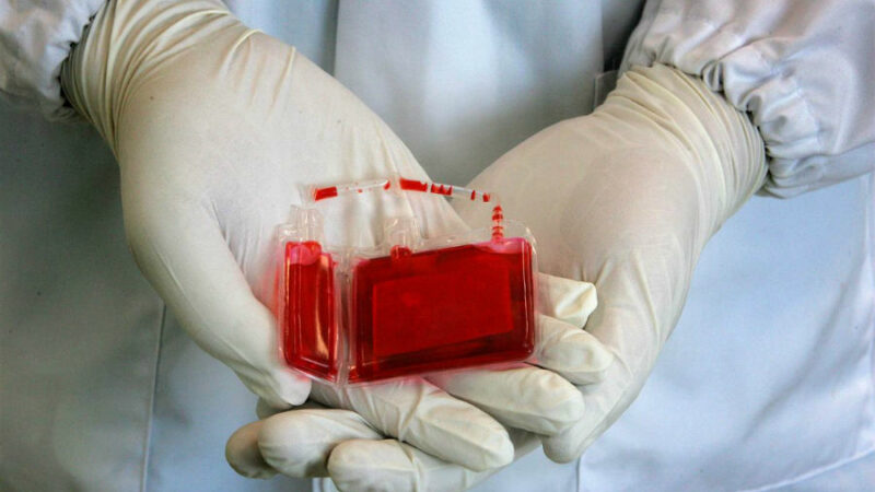 13 Interesting Facts About Human Blood