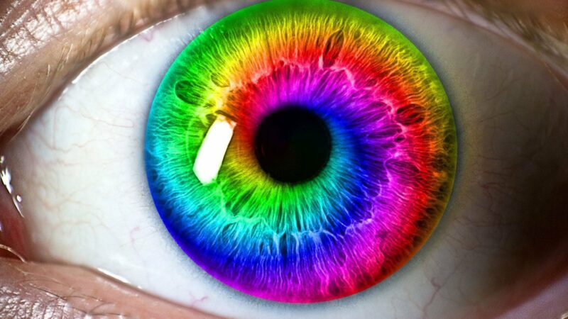 6 Interesting Facts About the Human Eye