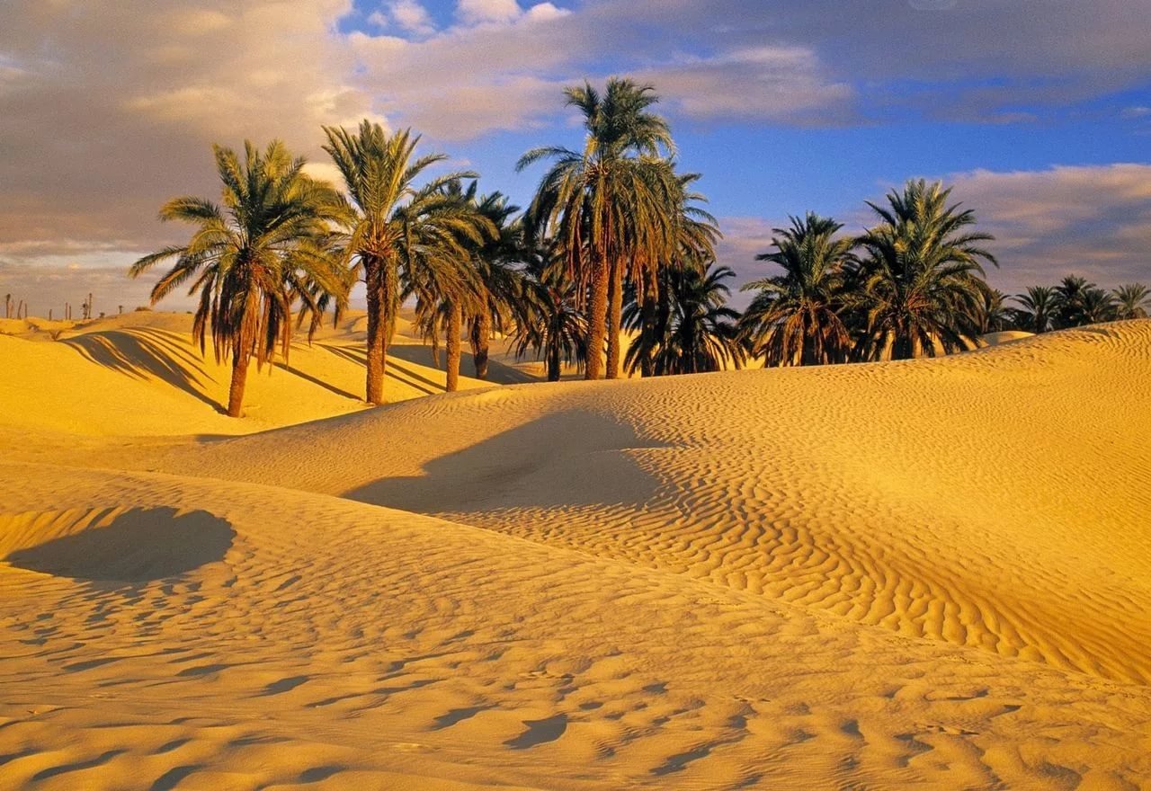 Most of the Sahara isn’t actually covered with sand