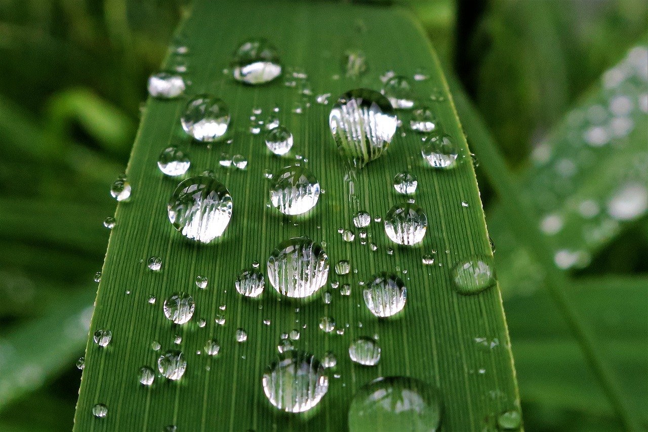 The Largest Raindrops
