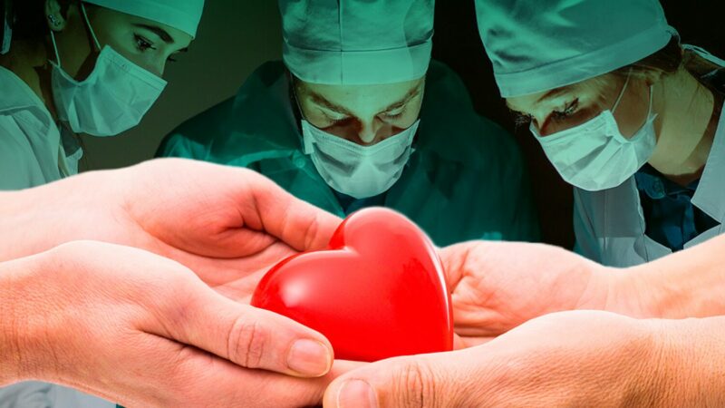 7 Fascinating Facts About the Human Heart