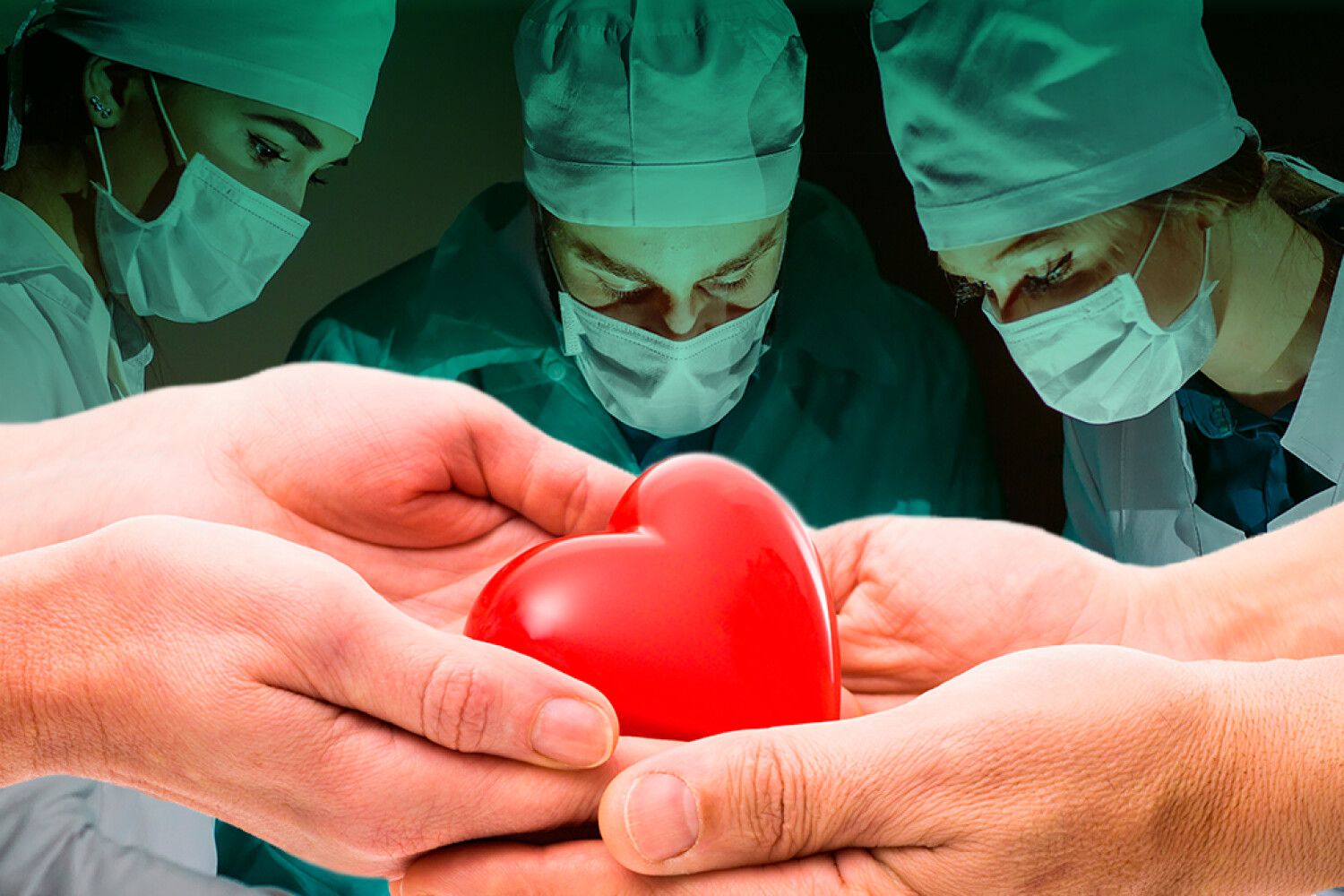The World’s First Successful Human Heart Transplant Was a Worldwide Sensation
